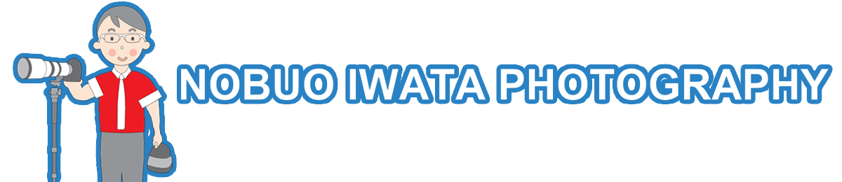 Nobuo Iwata Photography